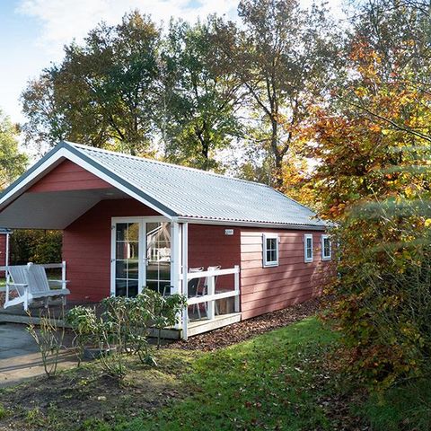 HOUSE 4 people - Forest Lodge