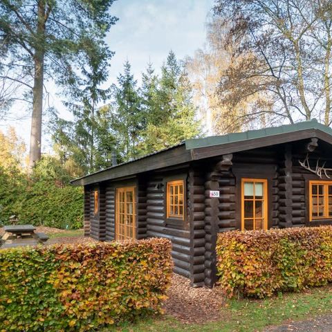 House 5 persons - Boekhorst