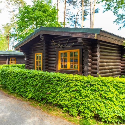 HOUSE 5 people - Boekhorst