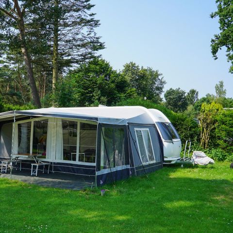 Pitch - Comfort XL