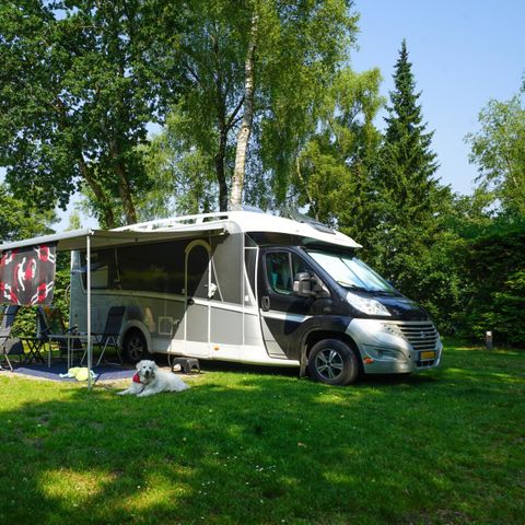 Pitch - Comfort XL private bathroom facilities