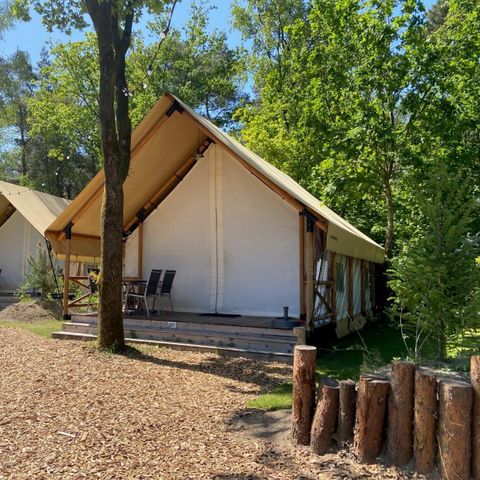 Tent 4 persons - Luxury Glamping