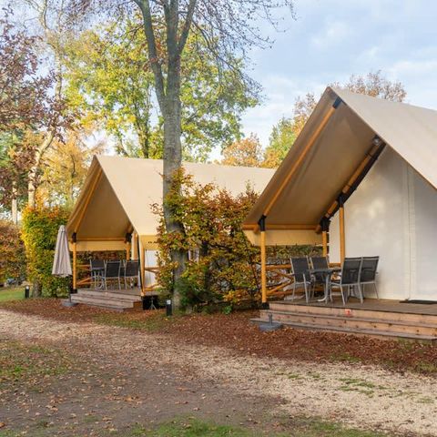 TENT 4 people - tent Glamping