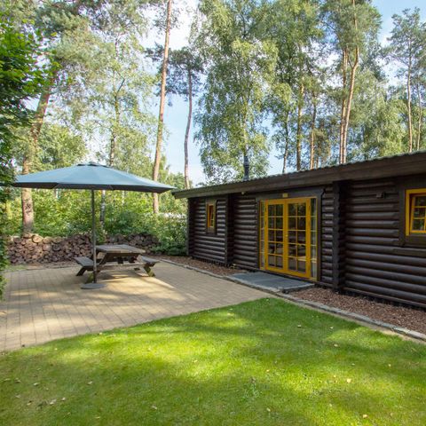 CHALET 4 people - Boekhorst