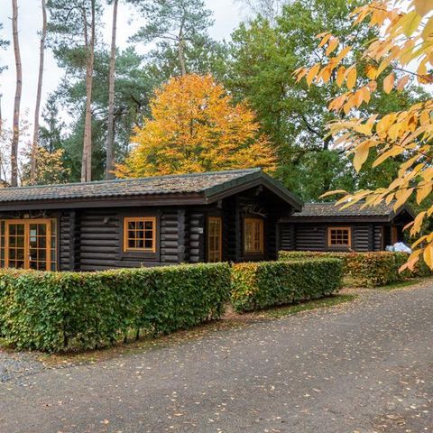Chalet 4 persons - Boekhorst