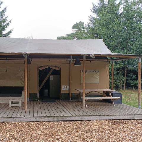 TENT 5 people - tent Glamping
