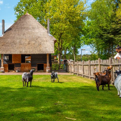 EuroParcs De Wije Werelt - Ede - Image N°2