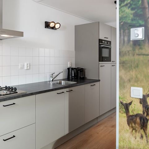 LODGE 6 people - Forest Cabin