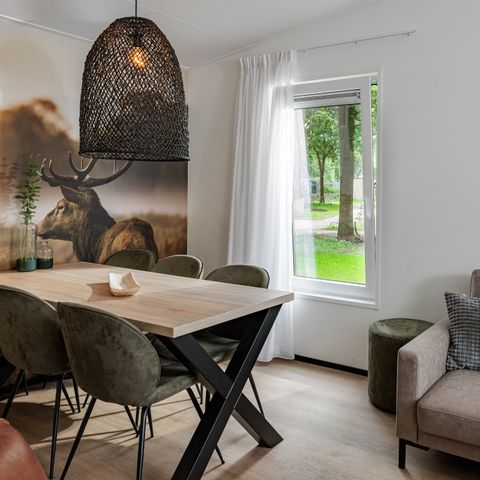 LODGE 6 people - Forest Cabin Pets