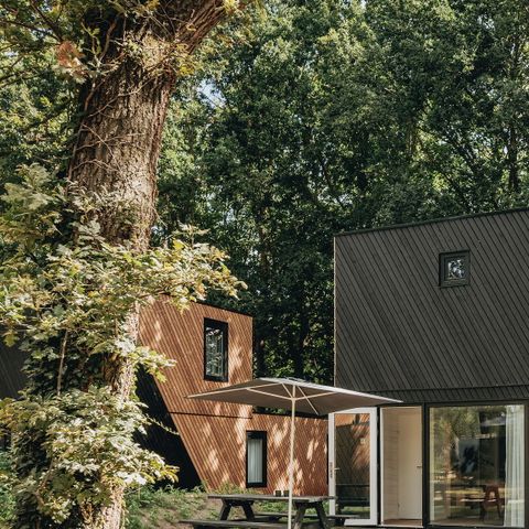 Villa 4 persons - Forest