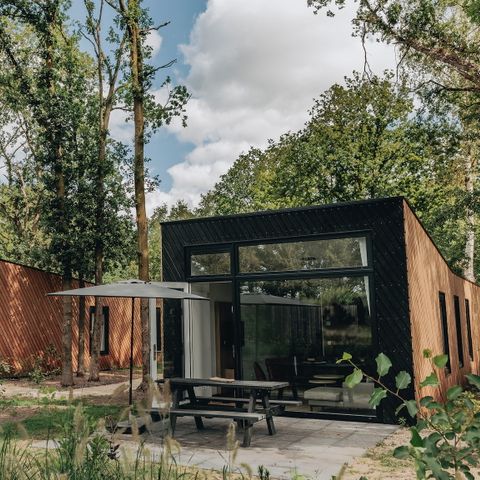 Lodge 6 persons - Forest Cabin