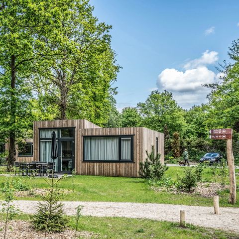 Summio Vakantiepark Schaijk - Landerd - Image N°2
