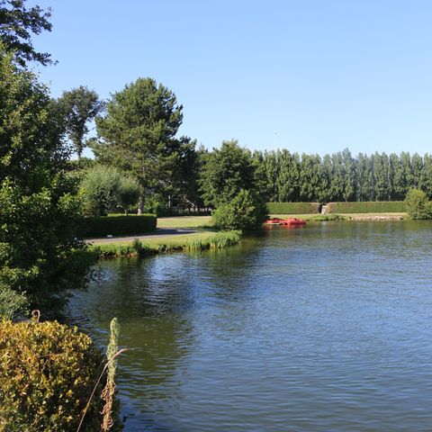Holiday Suites Klein Strand - Jabbeke - Camping West Flanders - Image N°6