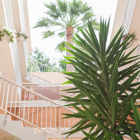 Pierre & Vacances Maeva Villa Livia - Camping Alpes-Maritimes - Image N°6