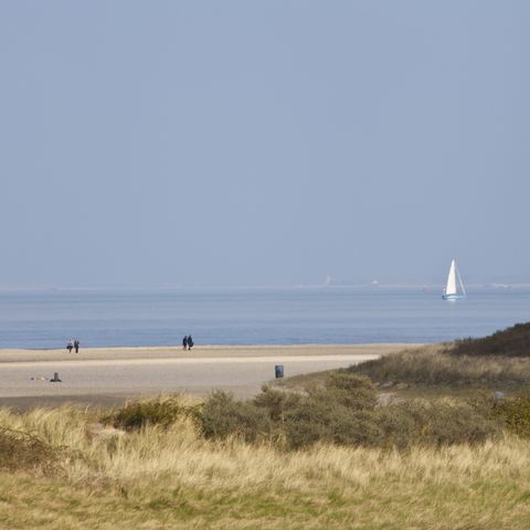 EuroParcs Bad Meersee - Camping Cadzand - Image N°4