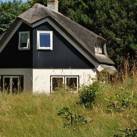 House 8 persons - Dune house De Bosuil