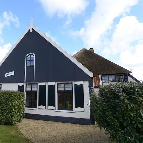 HOUSE 6 people - The Golden Rider