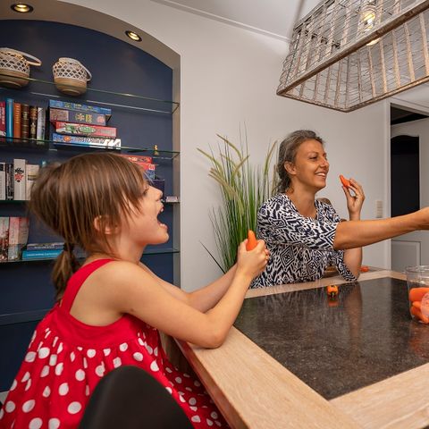 HOUSE 11 people - Hoeve de Hofstee