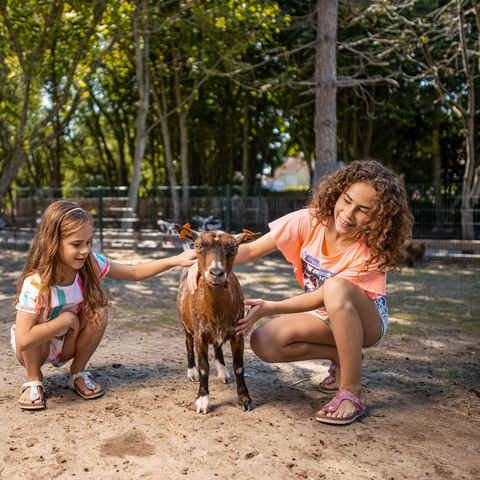 Center Parcs Park De Haan - West Flanders - Image N°6