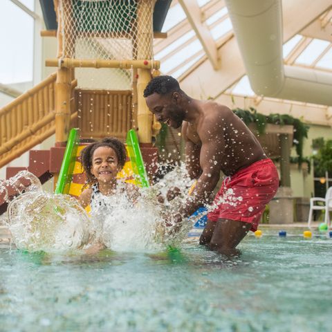 Center Parcs Park De Haan - Camping West Flanders - Image N°5