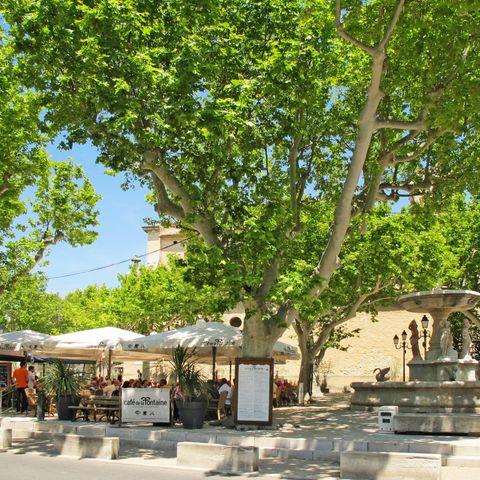 Vakantiecomplex Les Garrigues de la Vallée des Baux - Camping Bouches-du-Rhône - Image N°4