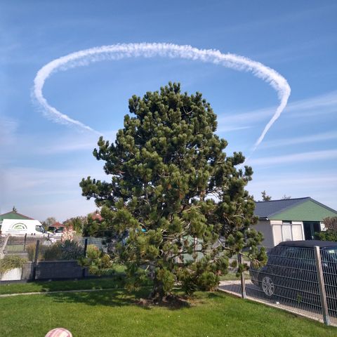 BUNGALOW 5 people - 32