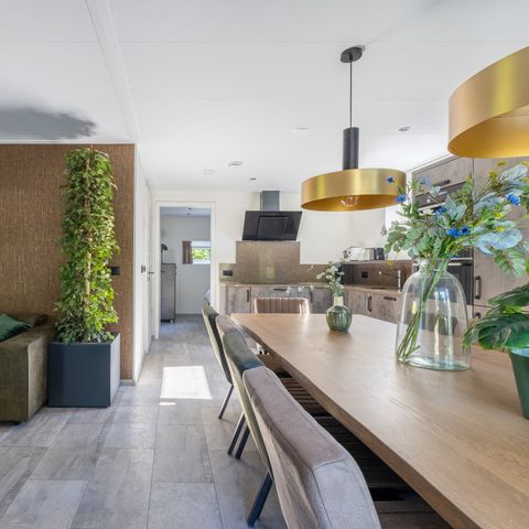 HOUSE 10 people - Veluwevilla