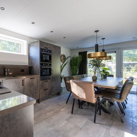 HOUSE 10 people - Veluwevilla