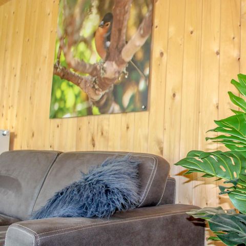 HOUSE 4 people - Heidehoeve
