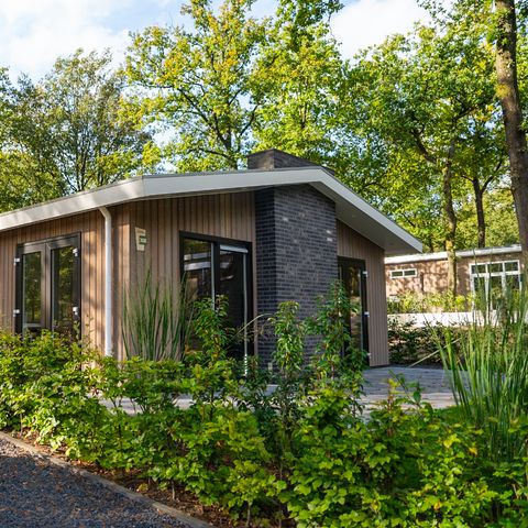 HOUSE 4 people - Wildhoeve 
