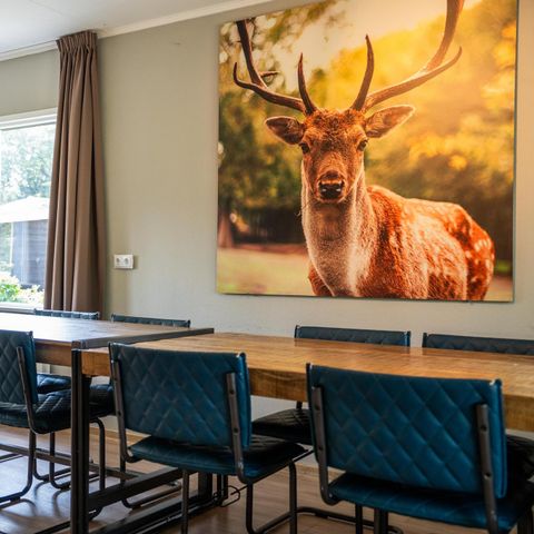 HOUSE 10 people - Woodpecker