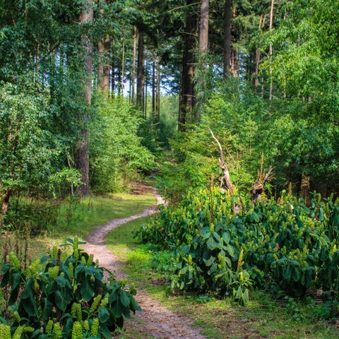 UNUSUAL ACCOMMODATION 4 people - Comfort