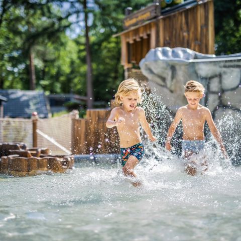 De Rimboe & Woeste Hoogte - Camping Apeldoorn - Image N°5