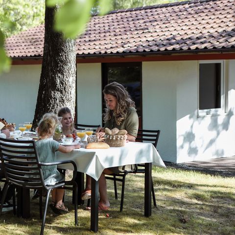 Ferienpark Grafschaft Bentheim - Camping Lower Saxony - Image N°2