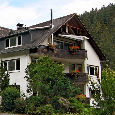 Sonnenhof Willingen - Camping Hesse - Image N°5