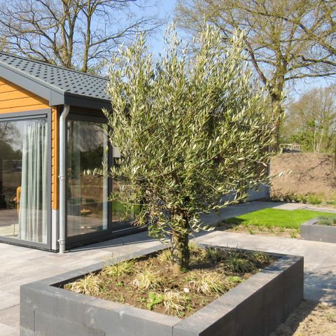 Chalet 6 persons - Velthorst