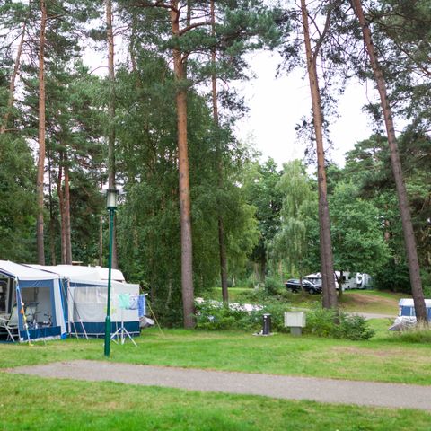 Oostappen park Boschbeek - Camping Roerdalen - Image N°6