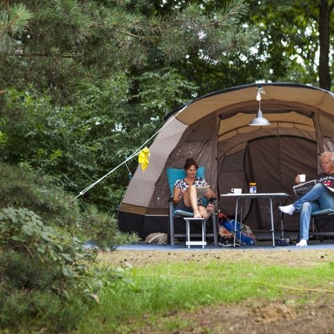 Oostappen park Boschbeek - Camping Roerdalen - Image N°4