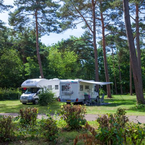 Oostappen park Boschbeek - Camping Roerdalen - Image N°3