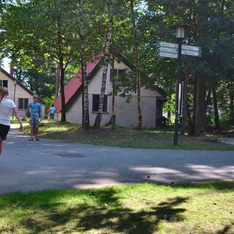 Oostappen park Boschbeek - Camping Roerdalen - Image N°2