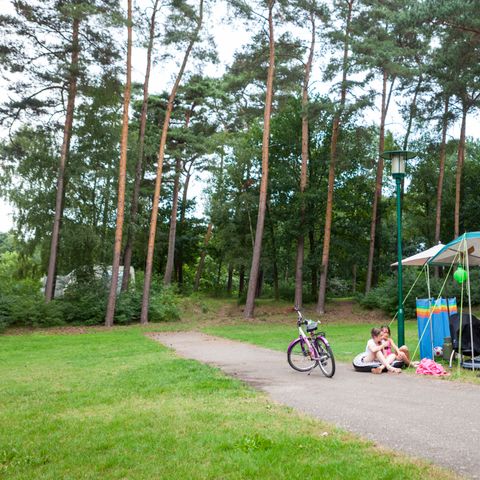 Oostappen park Boschbeek - Camping Roerdalen - Image N°5