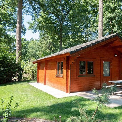 House 4 persons - Boekhorst