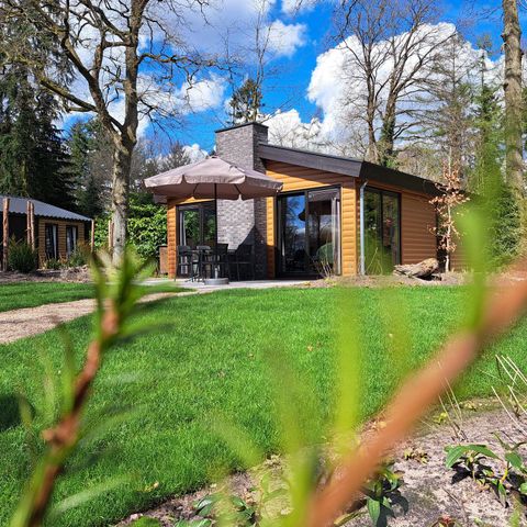 Chalet 6 persons - Hackfort Wood