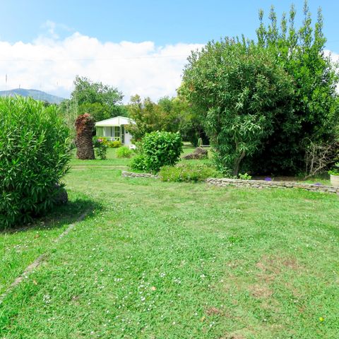 Rico Plage - Camping Northern Corsica - Image N°2