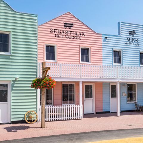 HOUSE 8 people - Village Street Sebastian the Pig