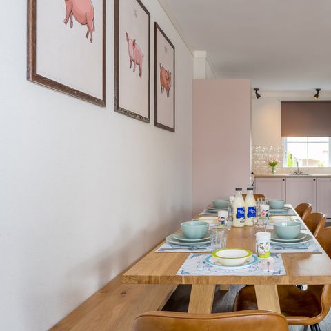 HOUSE 8 people - Village Street Sebastian the Pig