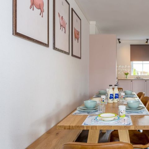 HOUSE 8 people - Village Street Sebastian the Pig