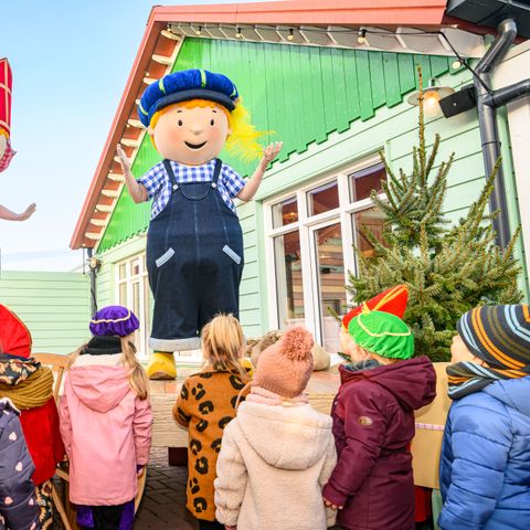 Familie Resort Molenwaard - Molenlanden - Image N°3