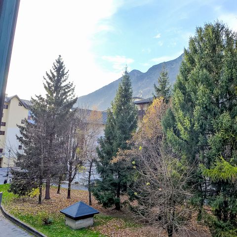 Résidence les Jonquilles Chamonix Sud - Camping Haute-Savoie - Image N°2