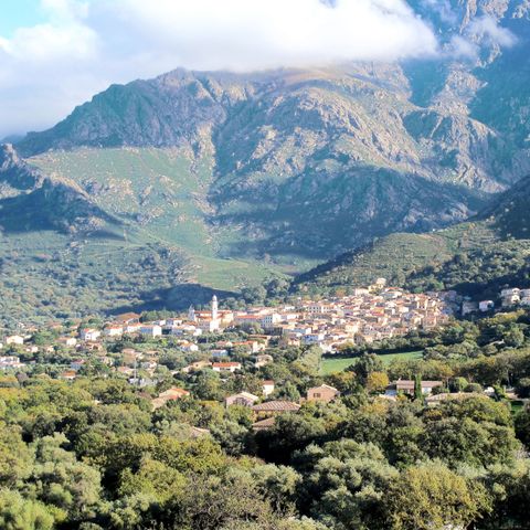 Résidence Le Home - Camping Northern Corsica - Image N°6